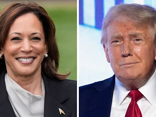 Harris leading Trump in New Hampshire by 4 points: Survey