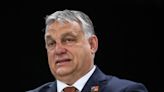 Orban Logging-for-Firewood Plan Triggers Backlash in Hungary