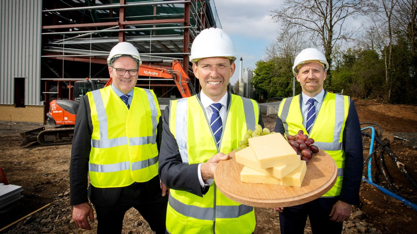 Dale Farm to expand cheese production in Northern Ireland