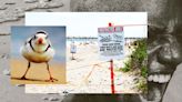 The Tiny Bird Ruining East Coast Beach Vacations