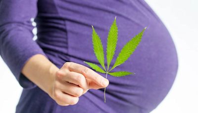 El consumo de marihuana durante el embarazo podría aumentar la probabilidad de complicaciones