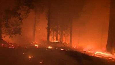California Senate approves measure to help fire insurance crisis