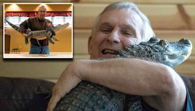 Internet-famous pet alligator ‘Wally’ missing, owner says he was stolen in emotional plea for help