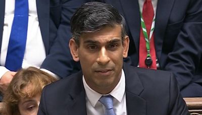 Rishi Sunak apologises to Tory MPs eight times at party 'wake'