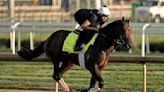 How to watch the 2024 Belmont Stakes race today: Start time, channel, odds, where to stream and more