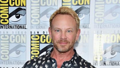 2 Bikers Arrested for Attacking Ian Ziering in New Year's Eve Brawl