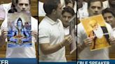 Quicksplained: Why Speaker asked Rahul Gandhi not to show picture of Shiva in Lok Sabha