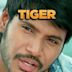 Tiger (2015 film)