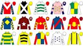 Grand National runners: Pinstickers' guide to 2024 Aintree race