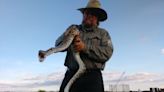 Florida’s Python Challenge is just wrangling snakes for some. But for military vets, it’s a chance to heal