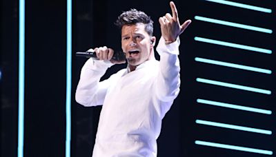 Sobrino de Ricky Martin solicita transmisión de vista al Tribunal Supremo