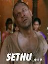 Sethu (film)