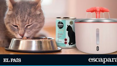 ¿Cómo hidratar a mi gato en verano? Zooplus tiene los productos que necesitas