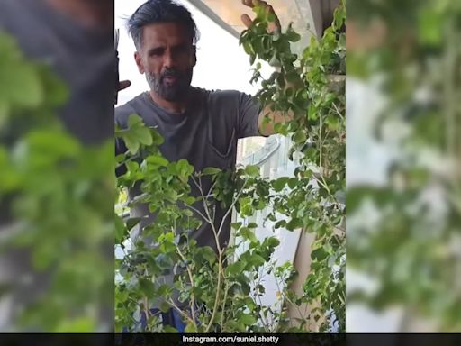 Suniel Shetty's "Trim The Old, Make Space For New" Plant Pruning Mantra Applies To Life Too