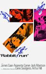 Rabbit, Run (film)