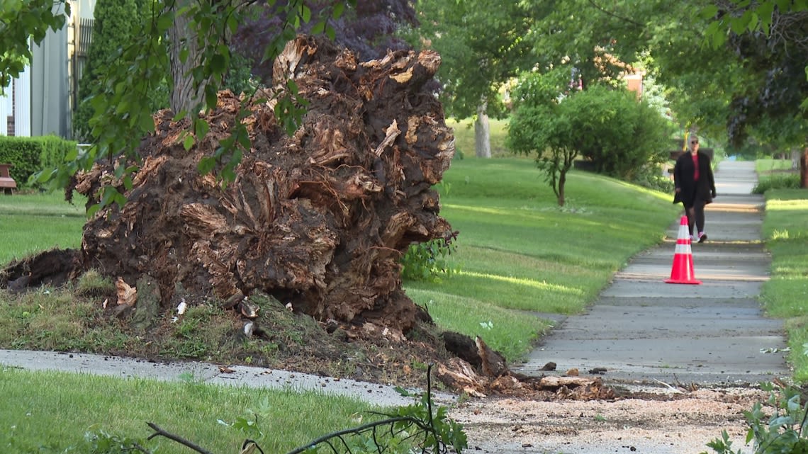 Michigan Attorney General sues tree service companies for price gouging following severe weather