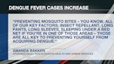 CDC issues Health Advisory over increase in dengue fever cases