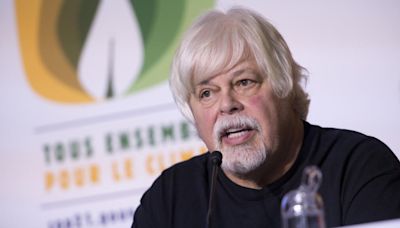 Greenland arrests anti-whaling activist and Greenpeace co-founder Paul Watson
