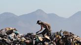 Fishing for litter: the fight to lift wages for plastic waste pickers in Brazil