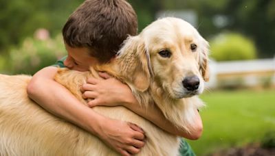 Día del Animal: por qué se celebra hoy en Argentina | Sociedad