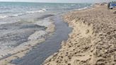 Un vertido de fuel alcanza las playas del Saler