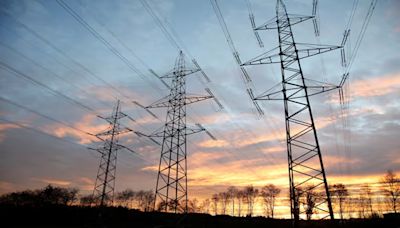 Power firms seek faster clearance of dues by Bangladesh