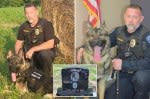 Cop accused in K-9 partner’s death after leaving pooch in sweltering car