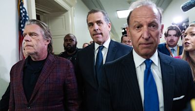 Hunter Biden team tells Delaware court they're 'not ready' for gun trial date