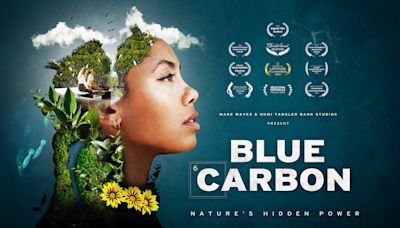 Limonero Films Acquires Environmental Documentary ‘Blue Carbon,’ Launching Sales At La Rochelle’s Sunny Side Of The Doc