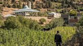 Morocco's hashish dealers boycott Israeli traffickers in solidarity with Gaza, says report