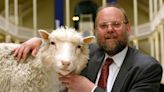 Dolly, la primera oveja clonada: Cómo su nacimiento cambió la ciencia para siempre