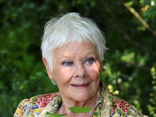 Dame Judi Dench hints that her film career could be over for good'