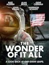 The Wonder of It All (film)