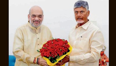 Naidu calls on Shah, seeks financial package to revive Andhra economy