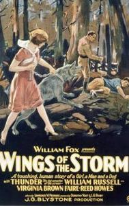 Wings of the Storm