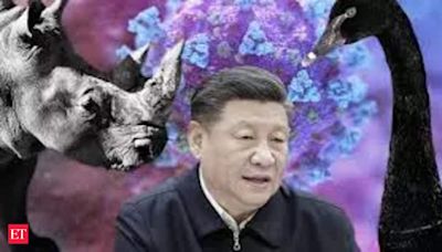 Why did Chinese President Xi Jinping ask to be ready for “black swan” and “gray rhino”? Is Beijing heading toward crisis?