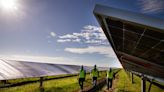 Florida's solar power surge: Why the Sunshine State is investing so much in the sun