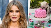 Sofía Vergara shares comical birthday post for her ‘vicious’ dog