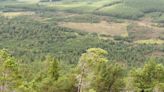 NatureScot photography project reveals scale of habitat restoration at Highland nature reserves