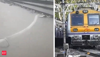 Mumbai local trains: Delays reported due to rains, 'bunching of trains'. Check latest updates here