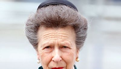 Princess Anne Releases First Official Statement Since Being Discharged from Hospital