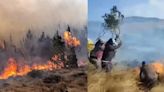 Incendios forestales en Lambayeque dejan a ciudadana con quemaduras de tercer grado y más de 50 intoxicados por humo