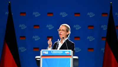 Clashes erupt as far-right AfD states aim to govern Germany