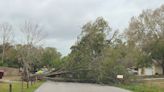 PHOTOS, VIDEO: Trees down, streets flooded after storms move through Tampa Bay