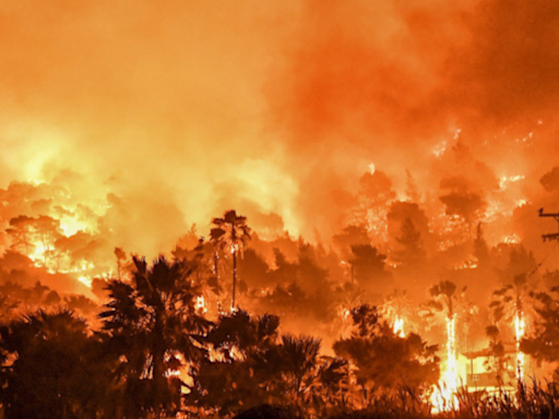 Greece wildfires: 13 arrested after Hydra island's only pine forest set ablaze by fireworks - Times of India