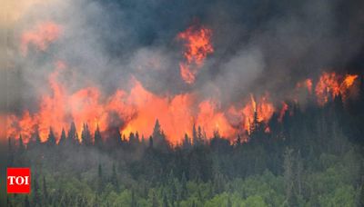 Devastating wildfires ravage Jasper, Alberta: Mass evacuations and international firefighting efforts - Times of India