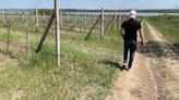 Winemaking in the War Zone: An Oenophile’s Trip Through Ukraine