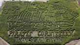 Cornbelly’s has been voted No. 3 corn maze in the U.S.