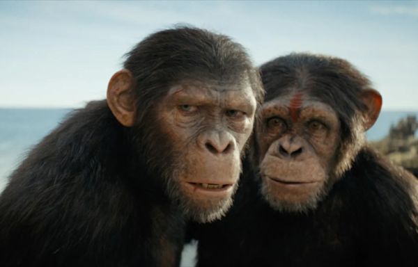 ‘Kingdom of the Planet of the Apes’ Warms Up Box Office With $55 Million Opening