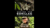 Ellen DeGeneres’ ‘Saving The Gorillas’ Documentary Special Gets Premiere Date At Discovery Channel